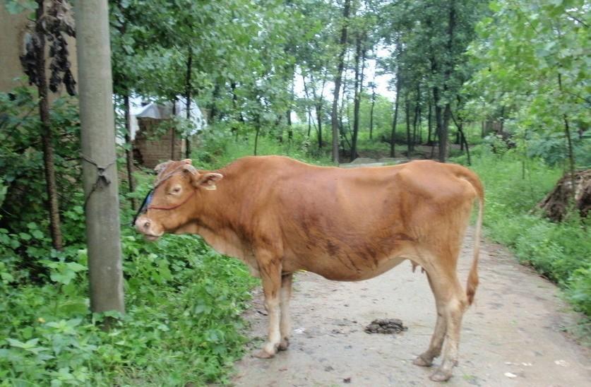 永康最新求一个套医保卡的黄牛是真的吗方法分析(最方便真实的永康求一个套医保卡的黄牛是真的吗还是假的方法)